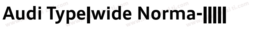 Audi Type　wide Norma字体转换